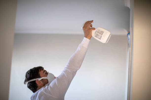 Professional Mold Remediation in Belvedere, CA