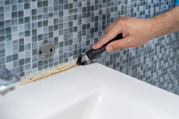 Best Localized Mold Remediation (e.g., coastal areas, humid climates) in Belvedere, CA