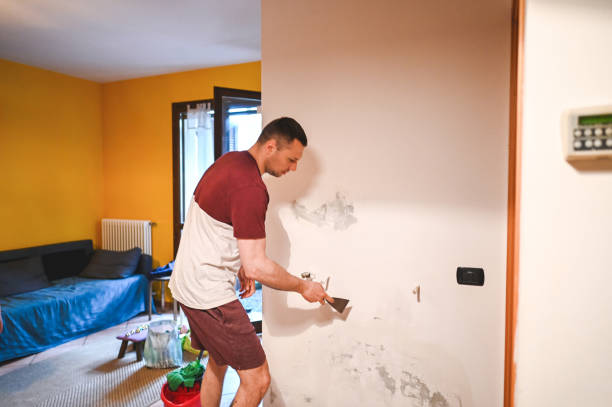 Best Kitchen Mold Remediation in Belvedere, CA
